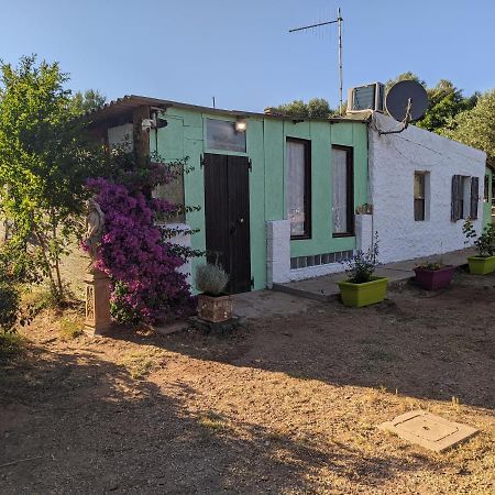 Villa Casa Carlo à Alghero Extérieur photo