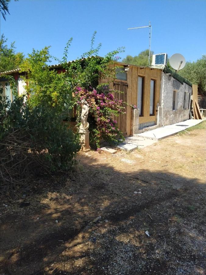 Villa Casa Carlo à Alghero Extérieur photo
